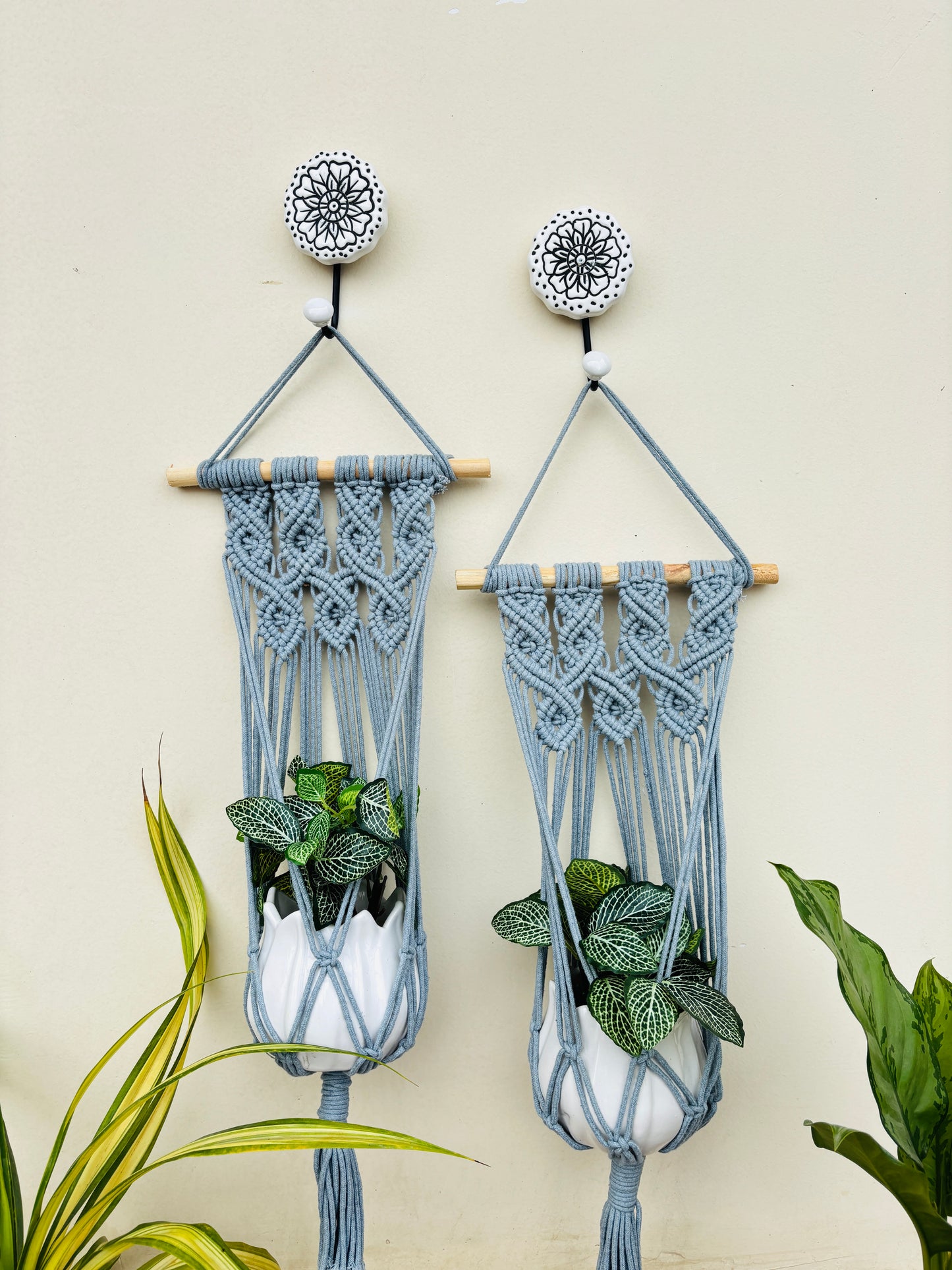 Quiet Corner Hanging Planter Set – DarkCloud