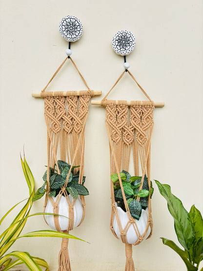 Quiet Corner Hanging Planter Set – HoneyBees
