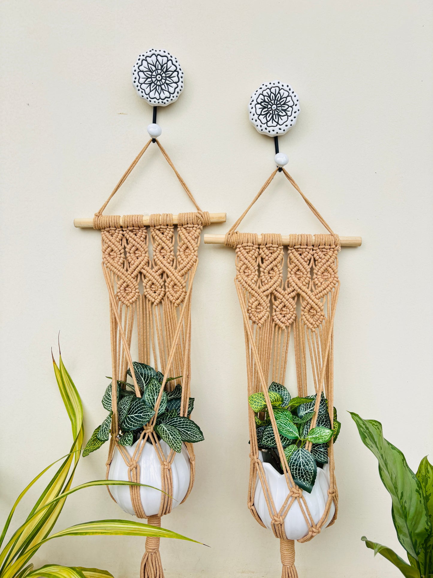 Quiet Corner Hanging Planter Set – HoneyBees