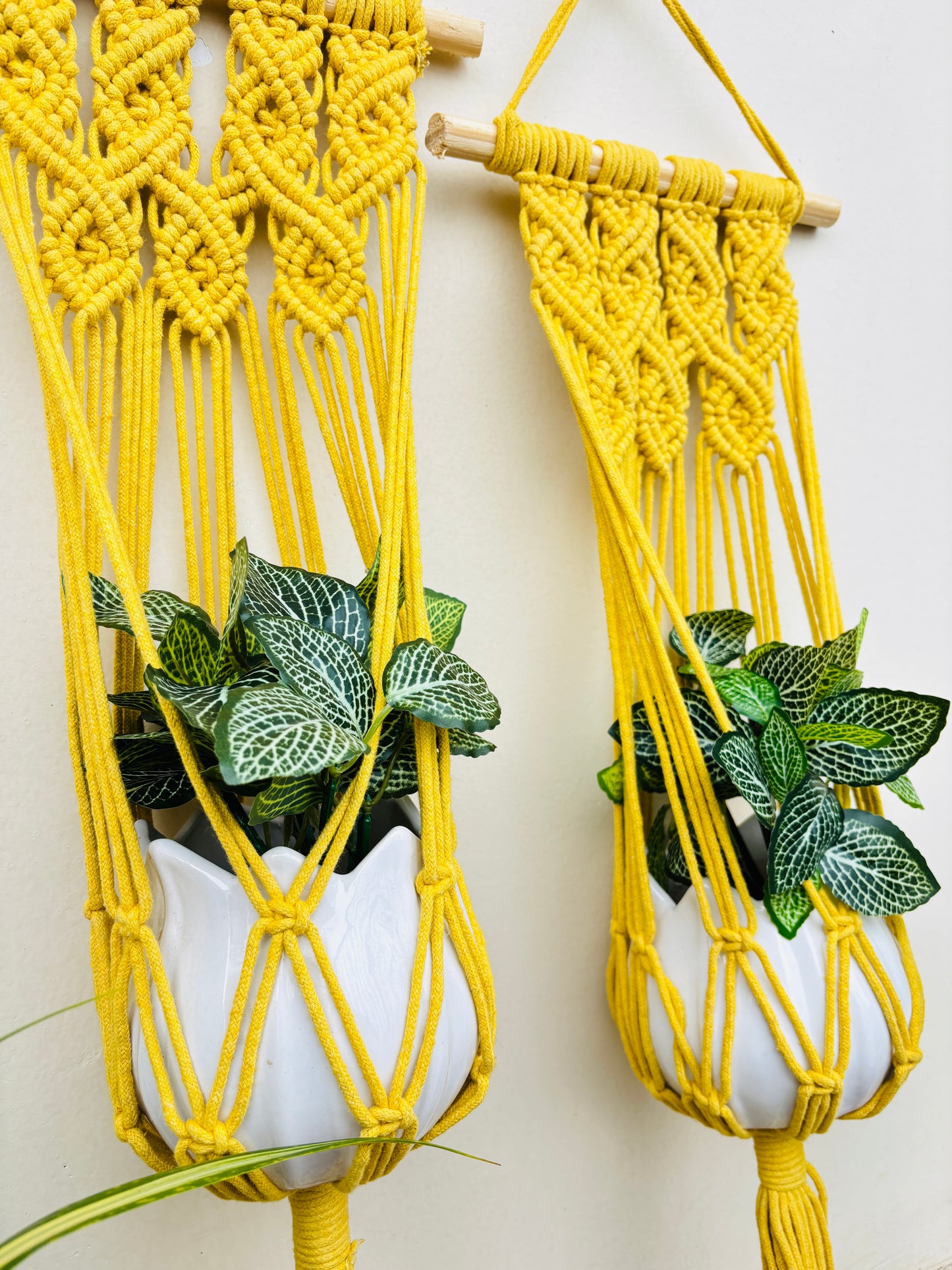 Quiet Corner Hanging Planter Set – Sunflower Yellow
